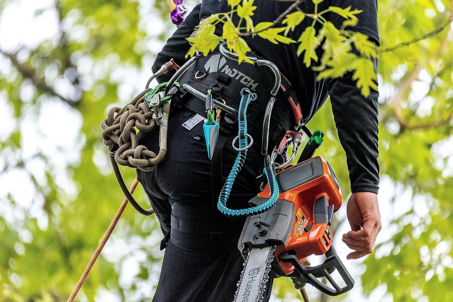Arborist & Tree Care Climb Higher