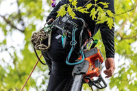 Arborist & Tree Care Climb Higher