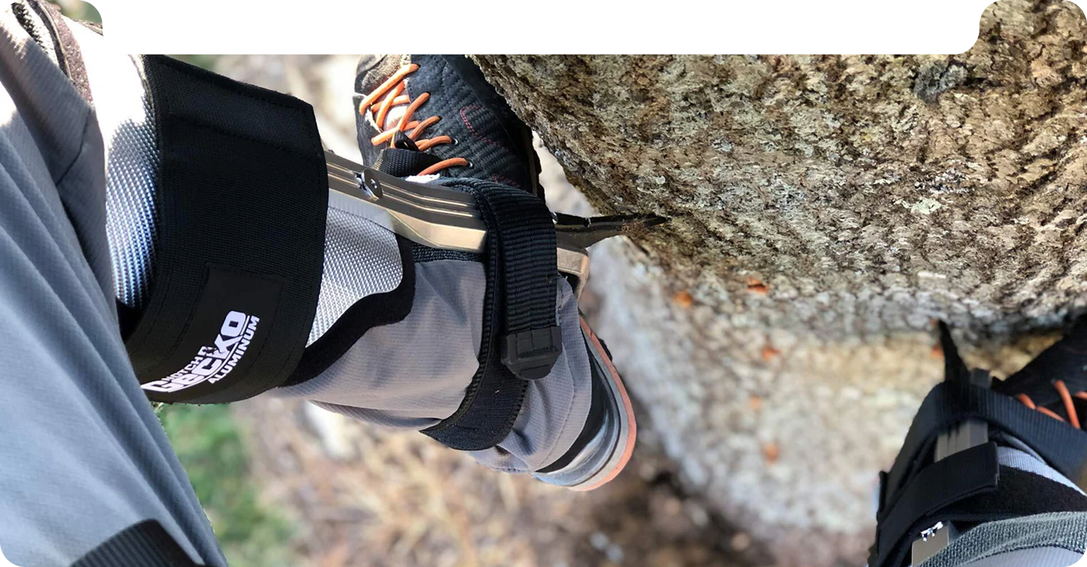 Climb Higher promotional banner