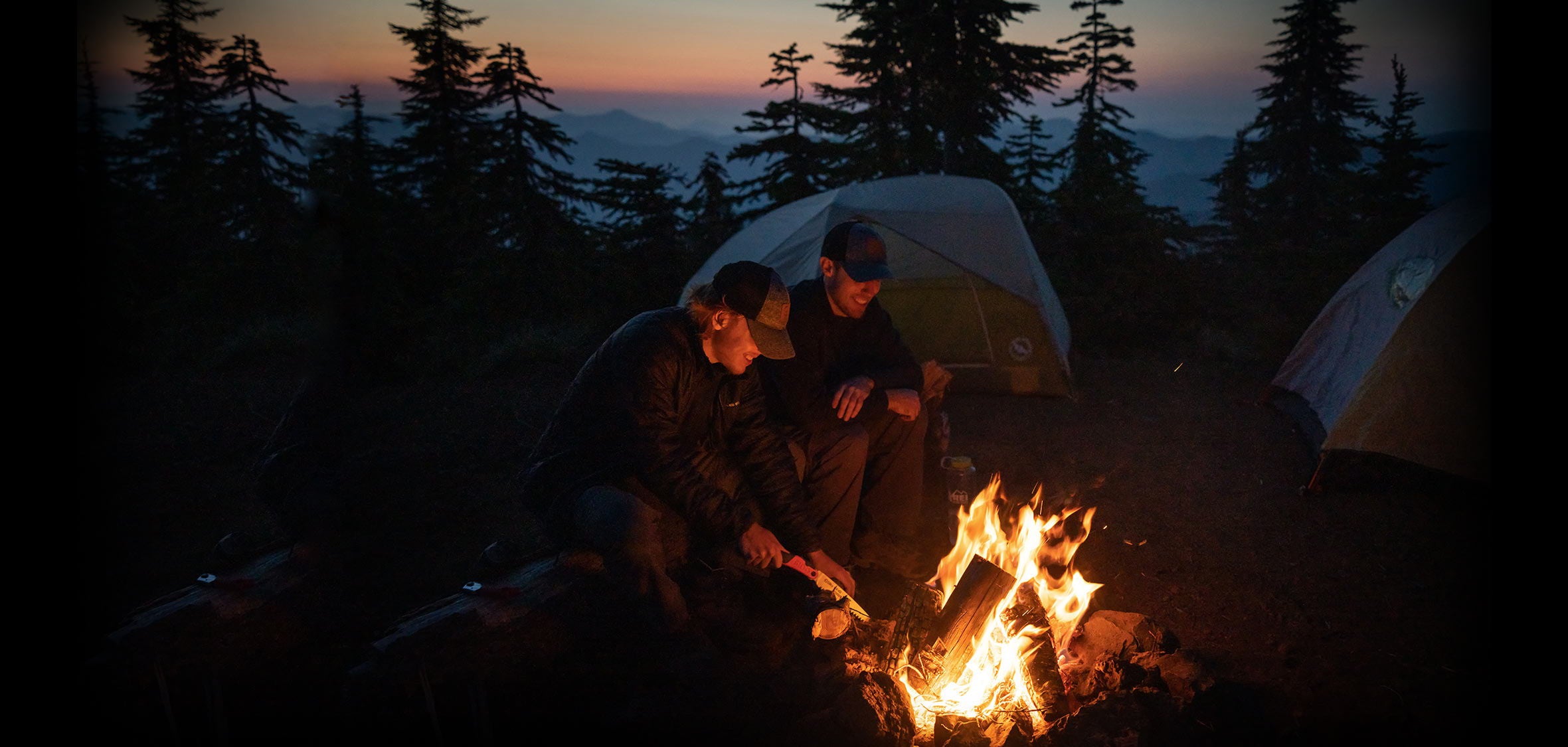 Professional arborist at work in tree canopy